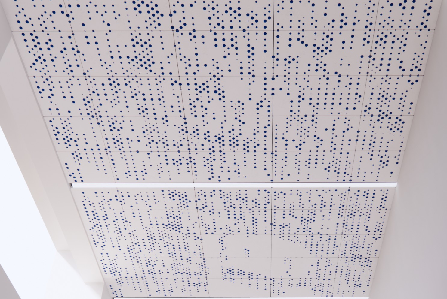 Perforate Ceiling with PET backing and integrated linear lighting